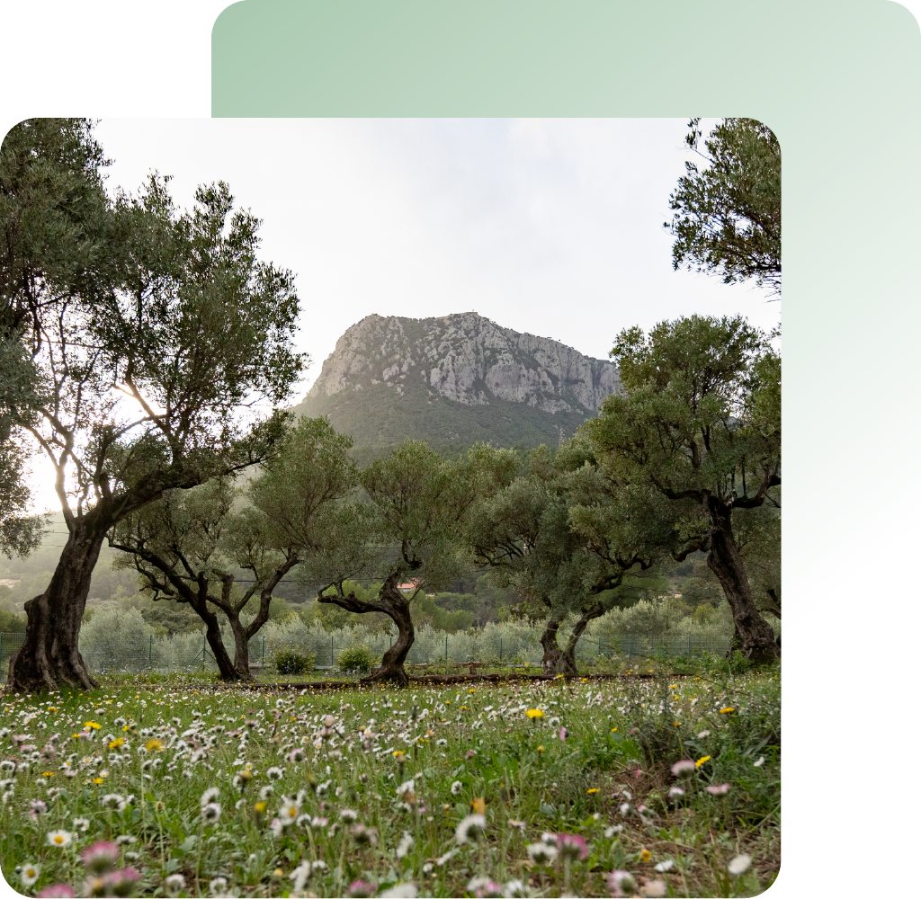 Je suis Laetitia, cabinet L'Zen Harmony à la Farlède proche du Coudon